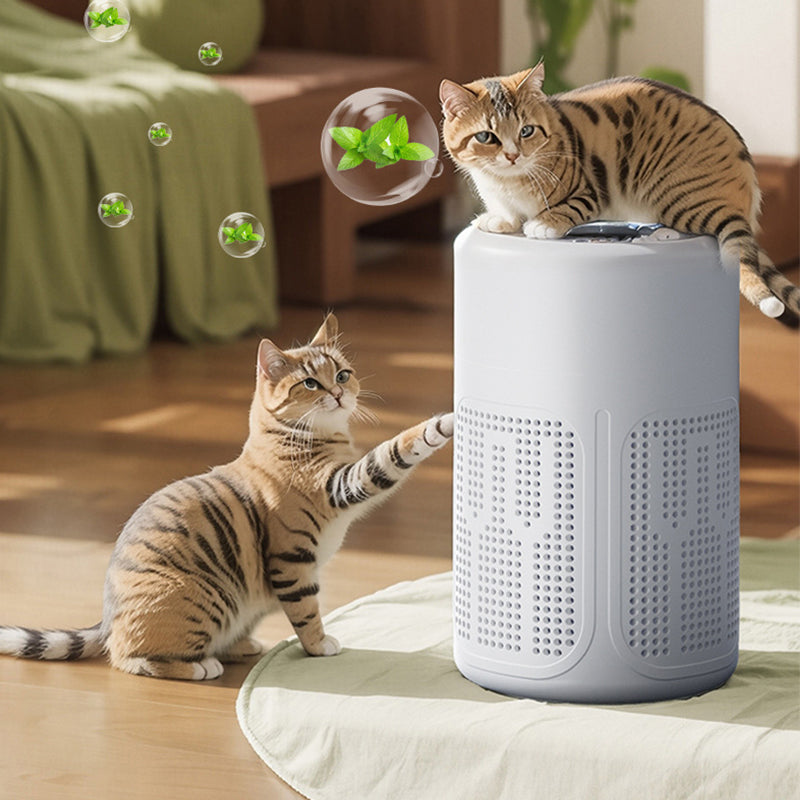 🌬️ 50% RABATT! 🔥 Kompakter Luftreiniger für Zuhause – 2026 Bestseller – Leise, energieeffizient & perfekt für Allergiker, Staub und Haustierhaare 🏠
